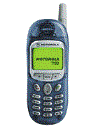 Best available price of Motorola T190 in Germanyrabia
