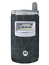 Best available price of Motorola T725 in Germanyrabia