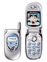 Best available price of Motorola V291 in Germanyrabia